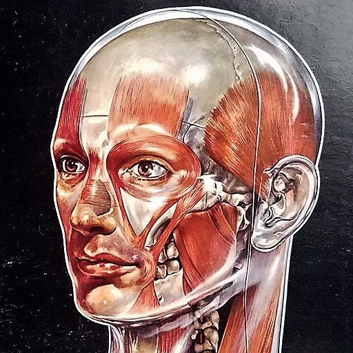 Skully. As he sees himself.