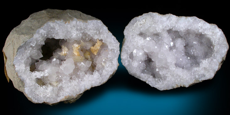Not as hollow and delicate as these. Not as hollow and delicate as these.