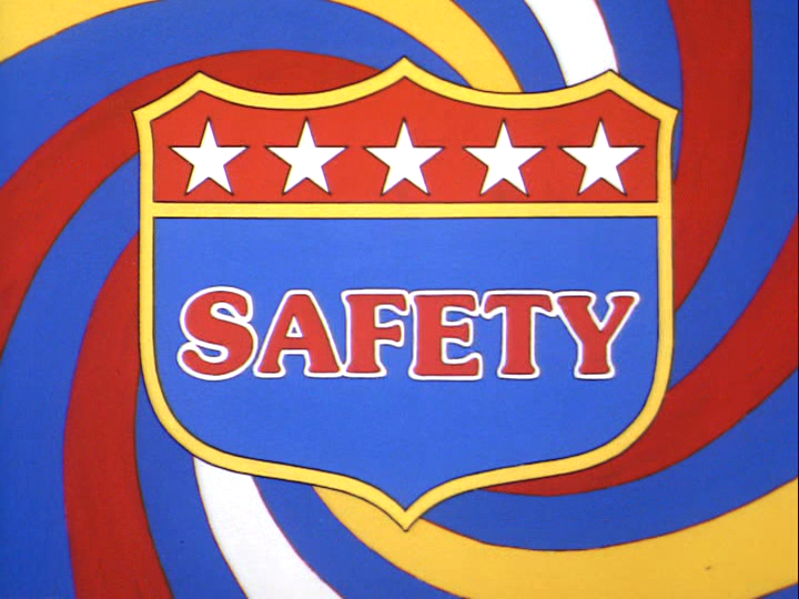 The Safety segment The Safety segment