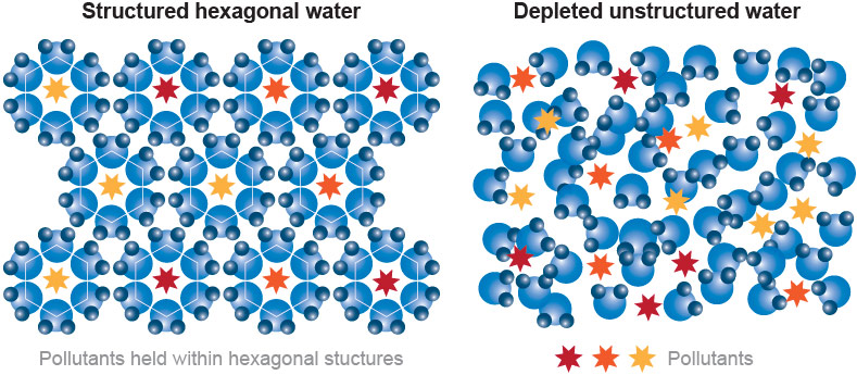 According to the previous illustrations, the “depleted unstructured” water has a better chance of hydrating a cell. Oops! According to the previous illustrations, the “depleted unstructured” water has a better chance of hydrating a cell. Oops!